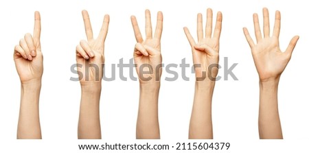 Female hands counting from 1,2,3,4,5 isolated on white. Beautiful female fingers show countdown zero, one. two, three, four, five Royalty-Free Stock Photo #2115604379