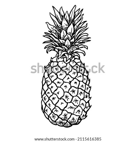 Pineapple black sketch cartoon hand drawn illustration isolated on a white background.
