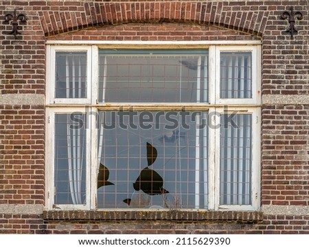 Part of the facade of an old Dutch house ready for demolition. The window is broken and iron mesh has been applied against squatters. The photo was taken on a sunny day in the beginning of spring.