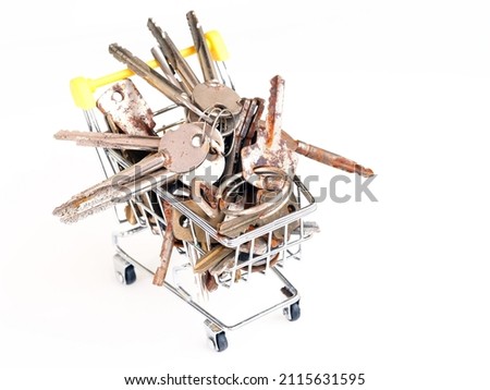 concept real estate sale. House keys big bunch of shopping cart
