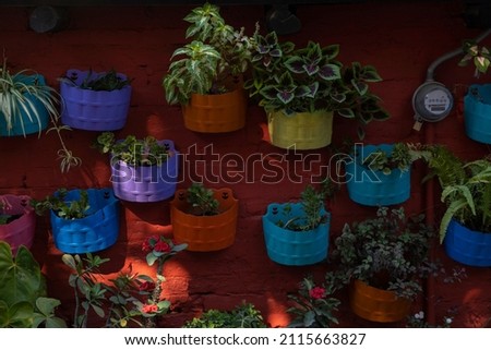Many colorful planters with different house plants attached to the exterior brick wall for decorative purpose.  