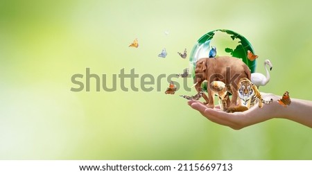 Earth Day or World Wildlife Day concept. Save our planet, protect green nature and endangered species, biological diversity theme. Group of wild animals and flock of butterflies with globe in hand. Royalty-Free Stock Photo #2115669713
