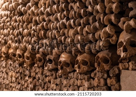 Close-up photo of human skulls and bones in the underground of Paris. Selective focus.