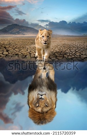 Lion cub looking the reflection of an adult lion in the water on a background of mountains Royalty-Free Stock Photo #2115720359