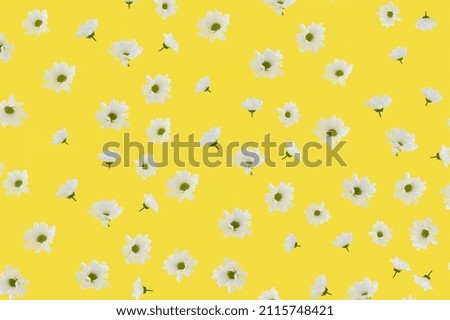 Background made of flying white flowers on the yellow background