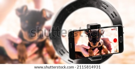professional video made with smartphone, use cell phone to make high resolution videos, puppy video