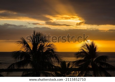 Hawaiian sunrise sunset and palm trees