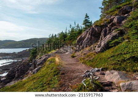 A footpath or trail along the edge of the Atlantic Ocean. There are scattered small evergreen trees in a meadow, large rocks on a beach, and small rolling hills. The sky is dramatic with wispy clouds. Royalty-Free Stock Photo #2115917963