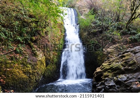 Mountain Waterfall in a lush Forest