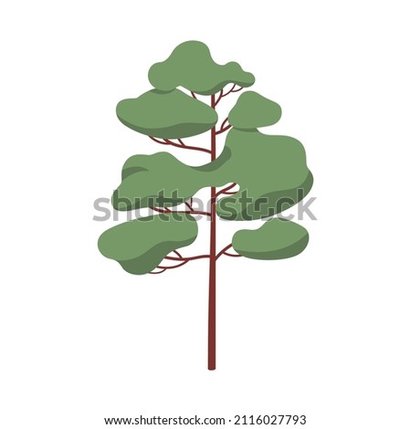 Pine tree, evergreen coniferous forest plant with trunk and crown. Green conifer. Stylized pinetree icon. Modern botanical flat cartoon vector illustration isolated on white background