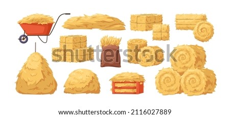 Hay bales, piles, heaps and stacks set. Straw in rolls, squares, sack, wheelbarrow and crate. Dry grass, farm fodder bundles. Flat vector illustrations of haystacks isolated on white background Royalty-Free Stock Photo #2116027889