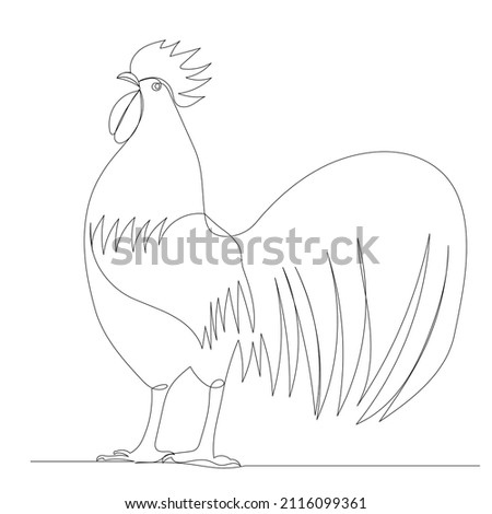 rooster one line drawing ,vector, isolated