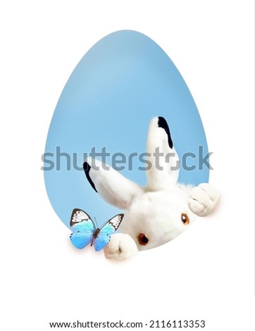 Easter card with paper cut egg shape frame with bunny. Copy space for text. Easter rabbit with butterfly. Happy Easter on blue background