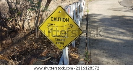 Australia animal street sign lizard, Kangaroo
