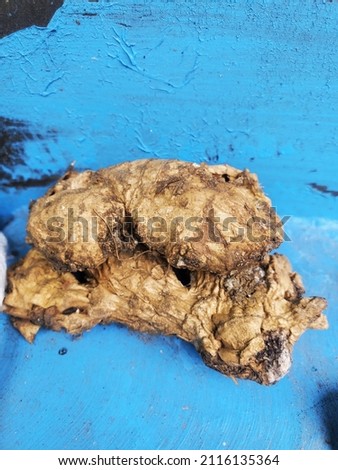 picture of ginger, one of the ingredients for spices