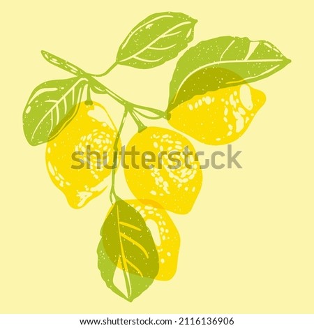 Lemon. Colorful cute screen printing effect. Riso print effect. Vector illustration. Graphic element  for fabric, textile, clothing, wrapping paper, wallpaper, poster.  Royalty-Free Stock Photo #2116136906
