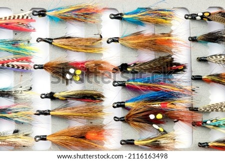 Traditional salmon fishing flies stored in a modern fly box Royalty-Free Stock Photo #2116163498