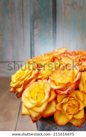 Bouquet of orange roses, copy space