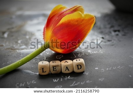 Servant leadership letters on dark background and tulip
