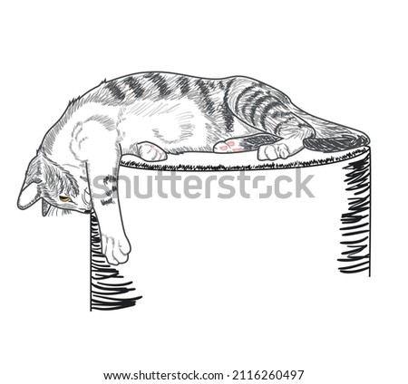 Cute tabby cat lies on a pedestal and looks down with interest. Vector illustration