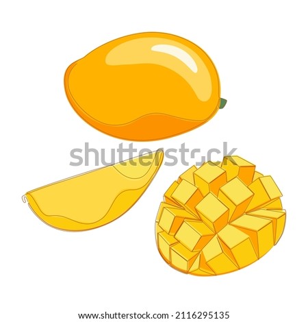 Set of sweet mango fruit. Vector flat illustration
