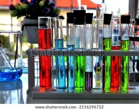 Colorful Chemistry Test Tubes are in Test tube rack. Science experiment are working in a laboratory.