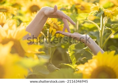 Closeup view stock photography of two happy people in countryside sunflower field background. Man and woman holding hands together with love. Wedding day or Valentine's day concept