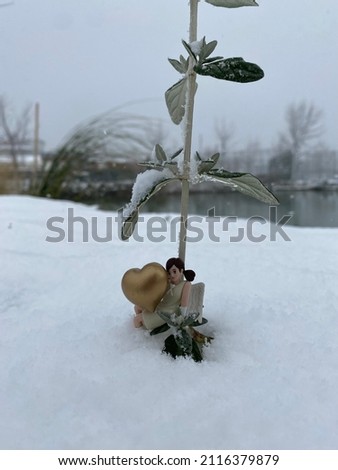 Valentine heart in winter cold weather. heart symbol of romantic love, background for holiday and valentines day.