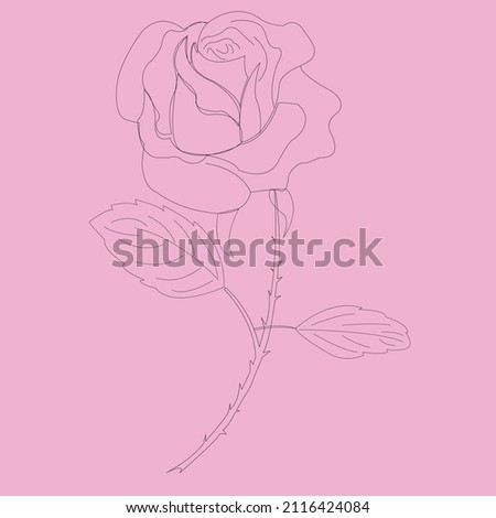Rose STROKE Isolated On White Background