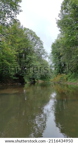 Green mixed forest and wild river in Russia. Ecology and nature in solitude and tranquility, outdoor recreation