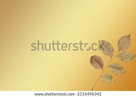 Closeup of Dry autumn leaves on the golden background high resolution for graphic decoration, suitable for both web and print media.