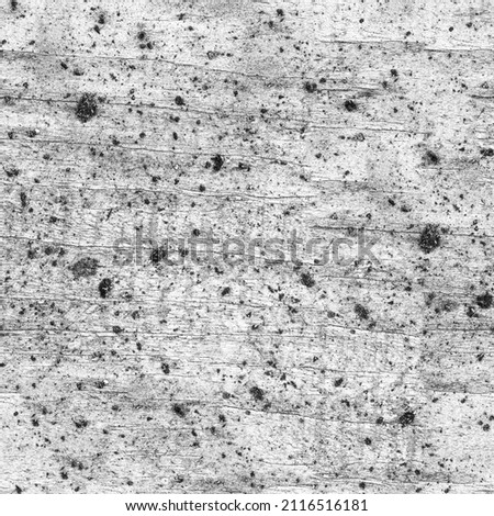 Black and white grunge texture. Abstract chaotic background. Sample for creating a large surface