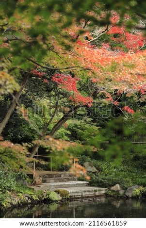 autumn leaves in Kamakura, Kanagawa, Japan (red)