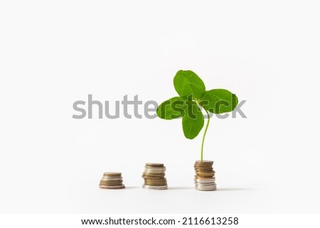 Coins and four leaf clover, isolated on white background. Successful investment, money savings, wealth, financial growth concept. Good luck, shamrock, abundance, income growth. Close up