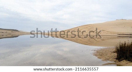 Courant d'Huchet river to sea atlantic ocean in Moliets et Maa in the south France coast Royalty-Free Stock Photo #2116635557