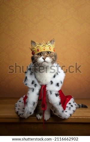 cute cat wearing king costume and crown looking majestic and royal with copy space Royalty-Free Stock Photo #2116662902