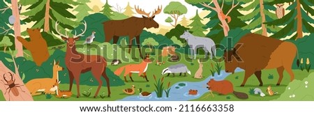 Forest animals in wild nature. Environment landscape with trees and habitats. Biodiversity of flora and fauna in temperate woods. Wildlife in woodland panorama. Colored flat vector illustration
