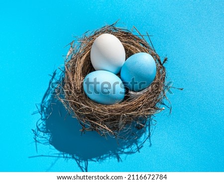 Three Easter eggs in a nest with a hard shadow on a blue background. Easter concept, close-up.