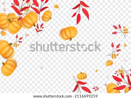 Colorful Vegetable Background Transparent Vector. Yellow Floral Border. Green Leaf Invitation Set. Gourd Cute. Thanksgiving Illustration.