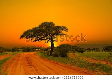 Sunset and sunrise in the Tsavo East National Park, Tsavo West and Amboseli Royalty-Free Stock Photo #2116713002