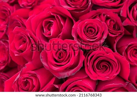 Natural red roses background.
Great gift for valentines day, birthday, and marriage.