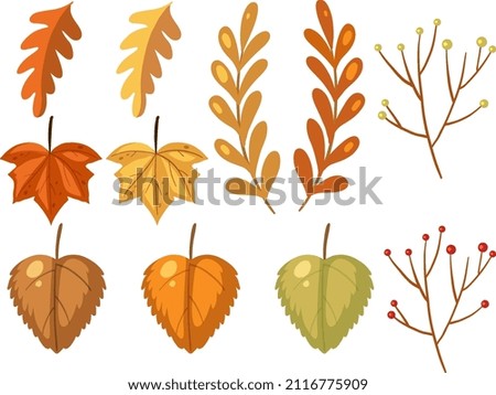 Set of different autumn leaves on white background illustration