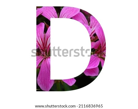 Letter D of the alphabet made with a pink flower of pelargonium, isolated on a white background