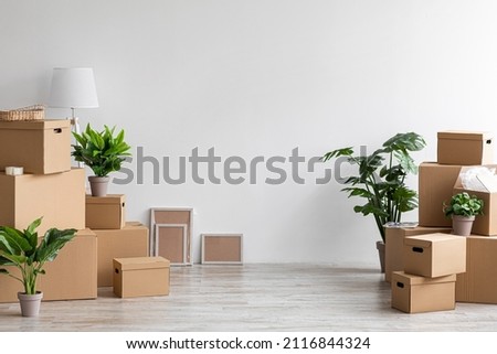Moving to own home, rent apartment, buy new property and blog about real estate, copy space. House ad and sale. Cardboard boxes with stuff, plants in pots in empty room on gray wall background in flat Royalty-Free Stock Photo #2116844324