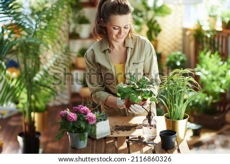Relaxing home gardening. smiling young housewife in white rubber gloves with potted plant do gardening in the modern house in sunny day. Royalty-Free Stock Photo #2116860326