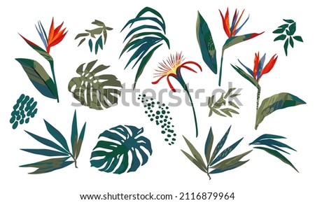 Vector illustrations of tropical leaves. Modern exotic design. Clipart, isolated elements.