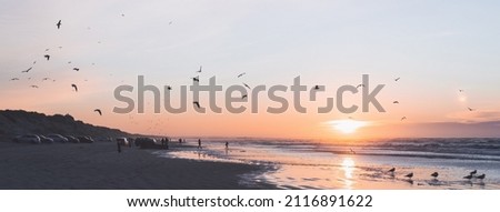 People enjoying the surf of North Sea at beautiful pink sunset and taking photos, seagulls flying. Cars parked along the wide Blokhus Strand beach. Nordjylland (North Jutland Region), Denmark Royalty-Free Stock Photo #2116891622