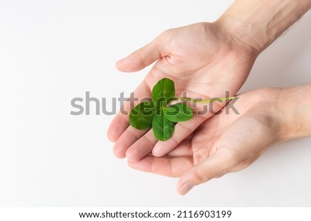 A four leaf clover in male's hands on white background. Good for luck or St. Patrick's day. Shamrock, symbol of fortune, happiness and success. Holding good luck in hands. Close up, top view