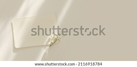 Empty copy space Blank texture canvas paper card with gypsophila flower. Light and shadows minimalism style template background. Flat lay, top view. Beige color.