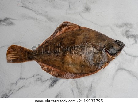 Single fresh raw halibut fish on the table